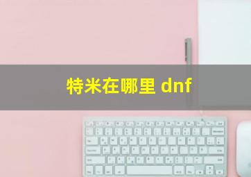 特米在哪里 dnf